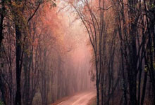 雷速体育：[NBA]常规赛2月2日：VS尼克斯 集锦.