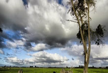 德保罗：我们代表的是一个热爱足球的国家，并未对任何人不敬.