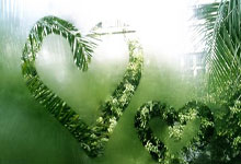 雷速体育：全运年中国女排主帅面对重重困难！应培养新人，让老将休养.